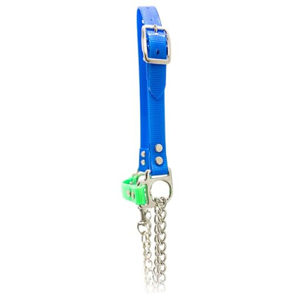 SULLIVAN'S Next Level Sheep & Goat Halter (Light Blue/Lime Green) - color: Light Blue/Lime Green