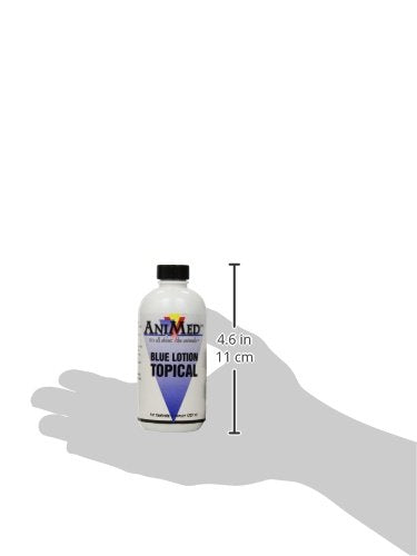 Animed Blue Lotion Topical w/Dauber 8oz - size: 8-Ounce