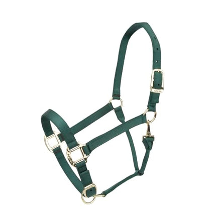 Shires ARMA Adjustable Nylon Halter - color: Hunter, size: Full