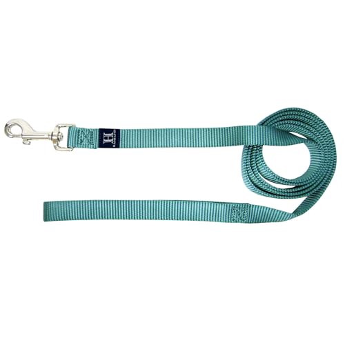 Hamilton 4 ft Nylon Dog Leash, Medium/Large 1" x 4', Teal - color: Teal, size: 1" x 4'