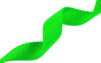 AMAGOOD Dog/Puppy Obedience Recall Training Agility Lead-15 ft 20 ft 30 ft 50 ft Long Leash-for Dog Training,Tie Out,Play,Safety,Camping (30Feet x 1Inch,Green) - color: Green, size: 1 Inch x 30 Feet
