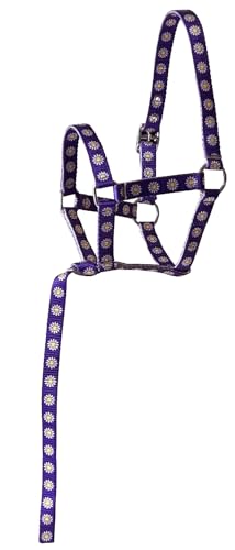 Nylon Foal Halter with Detachable 13" Catch - color: Purple with Daisies
