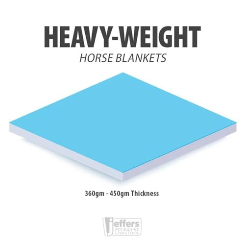 Jeffers Romper Stomper Horse Turnout Blanket, 1680D, 360g Fill, Brown - 66" - size: 66"