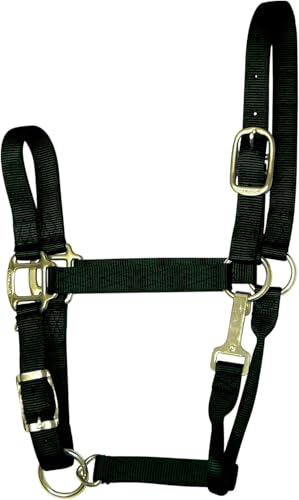 Hamilton Quality Adjustable Horse Halter, 800-1100 lbs, Black | Premium Quality Triple Ply Nylon, Average/Arabian/Yearling Draft, Adjustable Chin Strap, Throat Snap, Brass Plated Hardware - color: Black, size: Average, 800-1100lbs