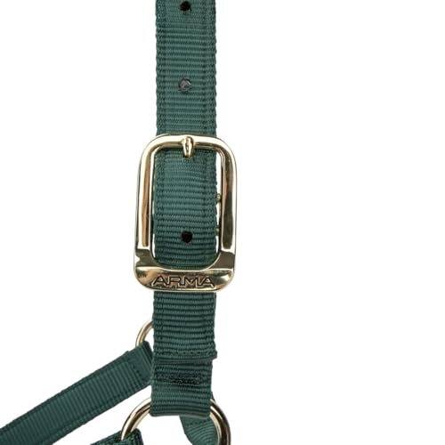 Shires ARMA Adjustable Nylon Halter - color: Hunter, size: Cob
