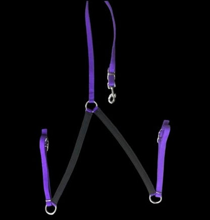 Majestic Ally Nylon Padded Equestrian Browband Headstall, Reins & BreastCollar Set for Horse- Full - color: Purple