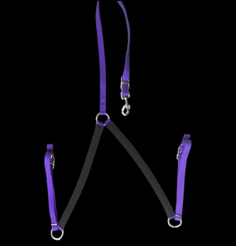 Majestic Ally Nylon Padded Equestrian Browband Headstall, Reins & BreastCollar Set for Horse- Full - color: Purple