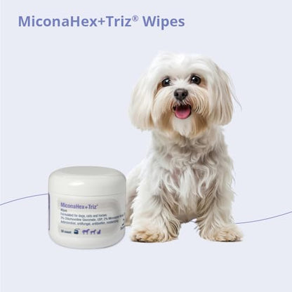 MiconaHex+Triz Wipes,2.25" round for Dogs,Cats and Horses,jar,50 Count (Pack of 2) - size: 50 Count (Pack of 2)