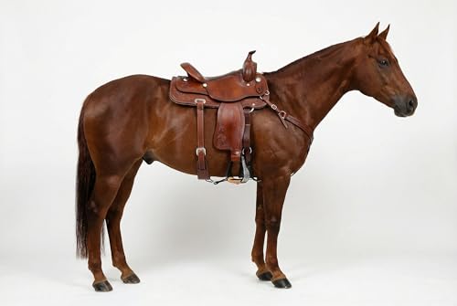 CHALLENGER 4-7/8" Wide Western Black Engraved Aluminum Horse Bell Stirrups Black 51178