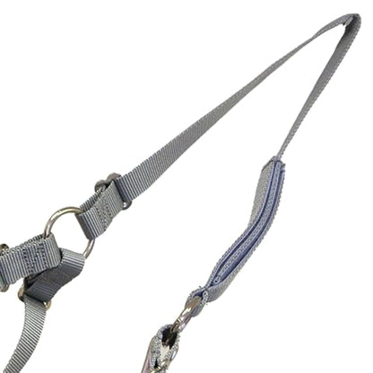 Best Friend Grazemore Grazing Muzzle - Includes Breakaway Horse Halter & Padded Noseband, Muzzle Promotes Natural Grazing, Prevents Laminitis & Obesity, Durable Design, Grey, Mini - size: Mini