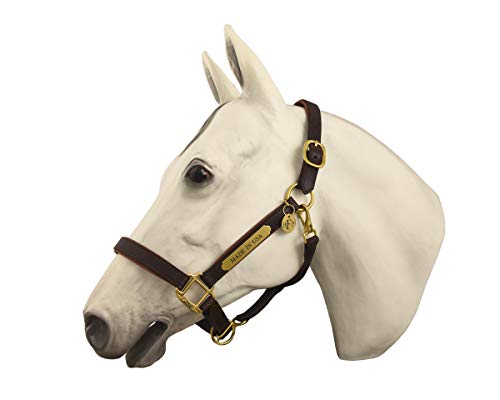 Brown with Chestnut Comfy Padded Leather Halter with Solid Brass Hardware & Customized Nameplate- Made in The USA - size: Cob