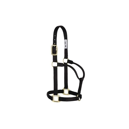 Weaver Leather Original Non-Adjustable Nylon Horse Halter, Small, Black
