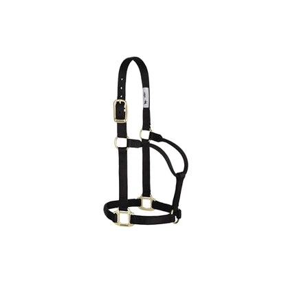 Weaver Leather Original Non-Adjustable Nylon Horse Halter, Small, Black