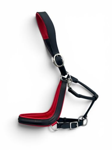 Leaders Padded Curved Leather Halter with Customized Engraved Name Plate Ergonomic Leather Halter for Horses - size: Horse Size Black/Red