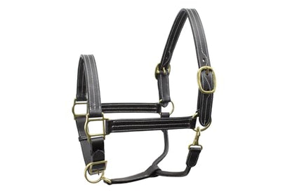 Derby Originals English Opulence Series - Liverpool - Fancy Stitch Padded Adjustable Leather Halter - size: Weanling