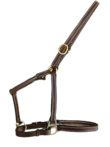 Leaders 3/4" Leather Halter for Horses with Customized Engraved Name Plate Brown Leather with Solid Brass Hardware - size: Pony