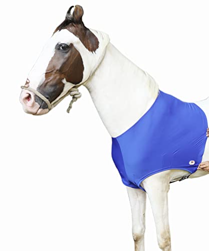 Majestic Ally Premium 4-Way Stretch Spandex/Elastane Horse Shoulder Guard for and Protection, Large, Royal Blue - color: Royal Blue