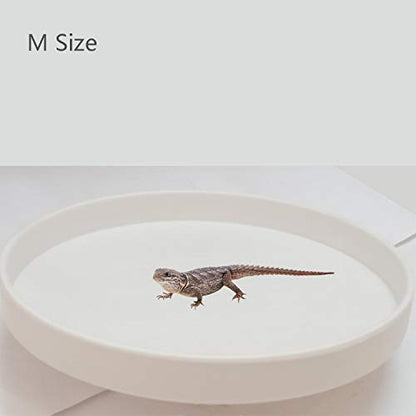 Reptile Water Food Dish Bowl Turtle Feeder Tortoise Feeding Dish Container (M, White) - color: White, size: M