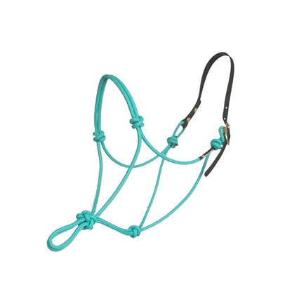 Custom Quick Release Stiff Rope Halter with Leather Crown
