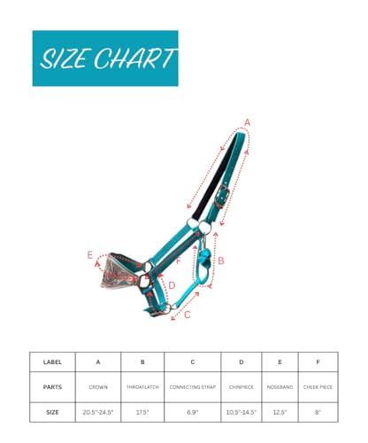 Majestic Ally Western Horse Bronc Halter, Turquoise Padded Leather Noseband, Antique Finish, Tooled Floral Design, Adjustable Nylon - style: Duo Blossom