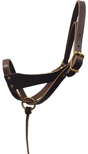 Tack Shack of Ocala Leather Figure 8 Foal Halter | Newborn, Foal, Mini Pony Halter | Brown with Removable Grab Strap and Two Size Crowns
