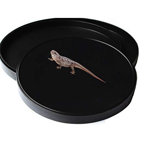 Reptile Water Food Dish Bowl Turtle Feeder Tortoise Feeding Dish Container (M, Black) - color: Black, size: M