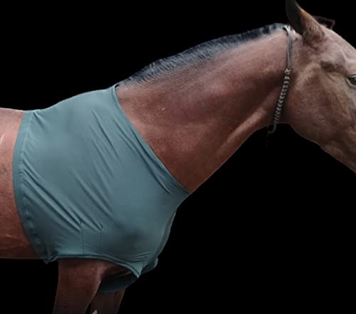 Majestic Ally Premium 4-Way Stretch Spandex/Elastane Horse Shoulder Guard for and Protection, Large, Hunter Green - color: Hunter Green