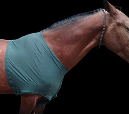 Majestic Ally Premium 4-Way Stretch Spandex/Elastane Horse Shoulder Guard for and Protection, Large, Hunter Green - color: Hunter Green