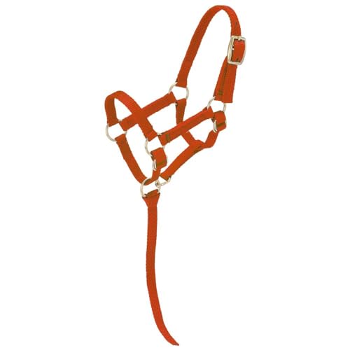 Tough1 Miniature Nylon Halter - color: Red, size: Medium