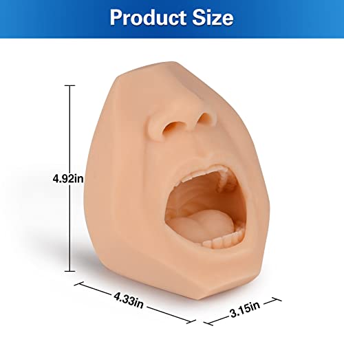 Nasal Swab Training Model, Throat and Oral Swab Collection Simulator, White - color: white
