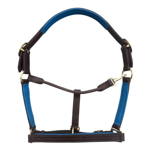 Leaders Premium Padded Leather Horse Halter - Exclusive Pre-Oiled Aniline Leather with Lacquered Solid Brass Hardware & Machined Structural Rings - size: Brown Horse Size/Royal Blue Padding + Name Plate