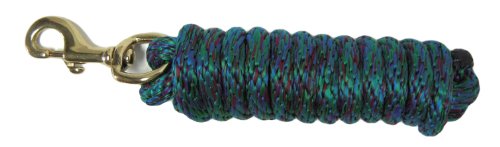 Hamilton Poly Lead with Bolt Snap, Vibrant Blue/Green Blended Weave, 5/8" Thick x 10' Long - color: Blue blend