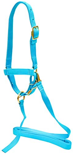 Jeffers Livestock Nylon Sheep Halter & Lead Set – Brass Plated ¾ Adjustable Halter with 6ft Rope for Sheep, Goats, Lambs – Farm, Ranch, Barn, Stable, Milking, Show, Training Gear - Turquoise - color: Turquoise