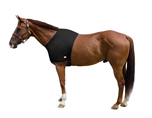 Lycra Stretch Horse Shoulder Guard - color: Black, size: Large Pony 60" - 64"