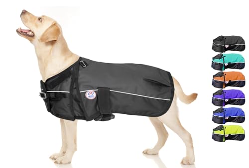 Derby Originals Horse Tough 600D Ripstop Waterproof Reflective Winter Dog Coat 150g Medium Weight, Black, 22"
