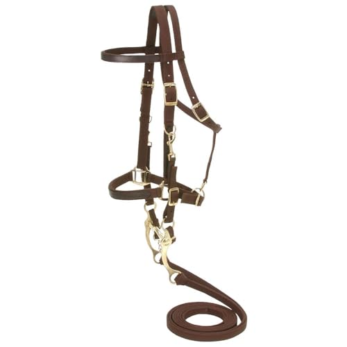 Australian Outrider Nylon Halter Bridle with Reins - color: Brown