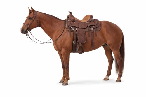 Horse Western Turquoise Cactus Tooled Leather Covered Saddle Stirrups 51238 - color: Brown Cactus