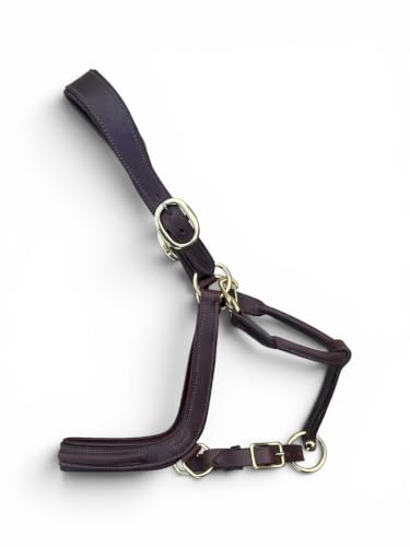 Leaders Padded Curved Leather Halter with Customized Engraved Name Plate Ergonomic Leather Halter for Horses - size: Cob Size Dark Brown/Brown Stitch