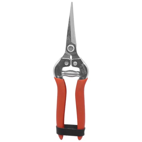 Harvest-Bunch Cutter, Curved Stainless Steel Serrated Blade