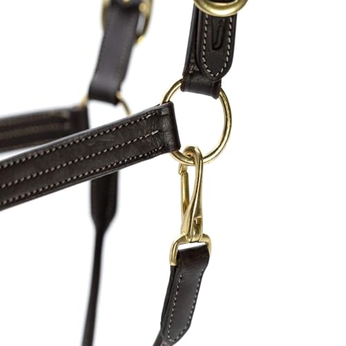 Jeffers Frankfort Triple Stitched Soft Leather Turnout Halter with Throat Snap for Horses - Adjustable Double Buckle Crown, Breakaway Ready Headcollar - size: Cob