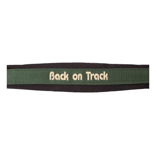 BACK ON TRACK Werano Pony Halter - color: Green, size: Pony
