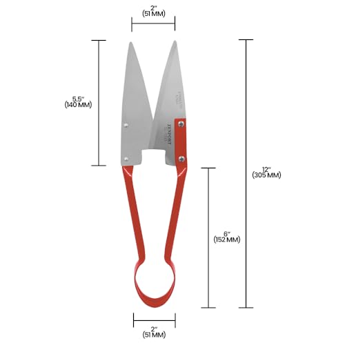 Onion Shears - size: 5.5-Inch