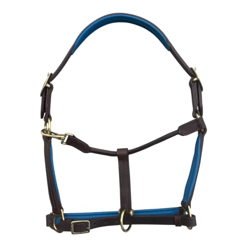 Leaders Premium Padded Leather Horse Halter - Exclusive Pre-Oiled Aniline Leather with Lacquered Solid Brass Hardware & Machined Structural Rings - size: Brown Horse Size/Royal Blue Padding + Name Plate