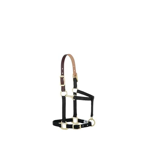 Weaver Equine Breakaway Horse Halter, Supple Leather Crown, Adjustable Chin & Throat Snap Halters for Horses, Equine Tack,Pony Size, Black