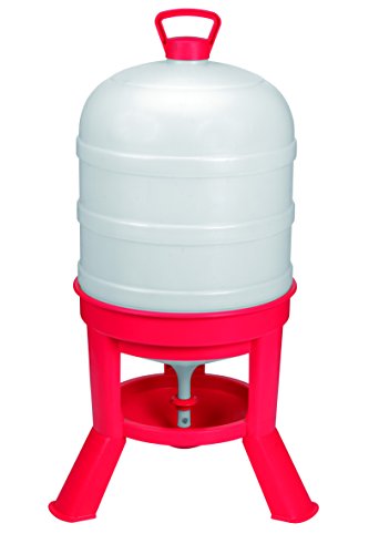 Little Giant® Plastic Dome Waterer | Heavy Duty Plastic Gravity Fed Poultry Waterer Container Tank | Chickens, Ducks & Other Birds for Hobbyists, Farmers and Ranchers | 10 Gallon - size: 10 Gallon