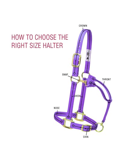 Weaver Leather Nylon Miniature Horse Adjustable Halter, Diva Pink
