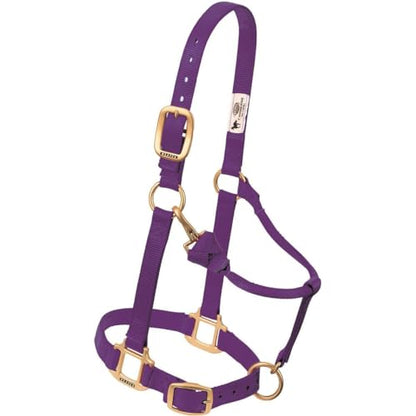 Weaver Leather Original Adjustable Nylon Horse Halter, Average Horse, Lavender
