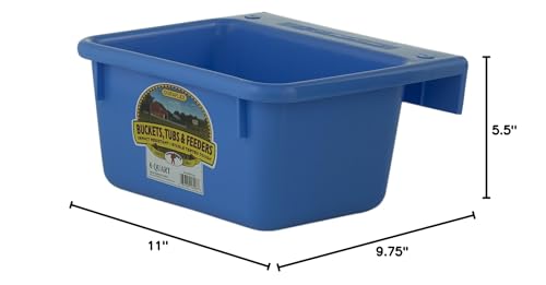 Little Giant® Plastic Mini Feeder | Fence Feeder | Goat Feeder | Durable & Mountable Bucket for Livestock | Made in USA | 6 Quart | Berry Blue