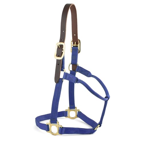 Premium Breakaway Nylon Halter with Leather Crown, Medium, Blue