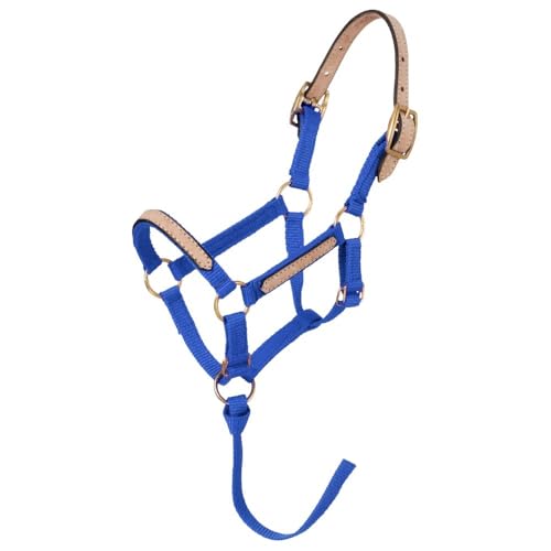 Tough1 Miniature Nylon Breakaway Halter - color: Royal Blue, size: Medium